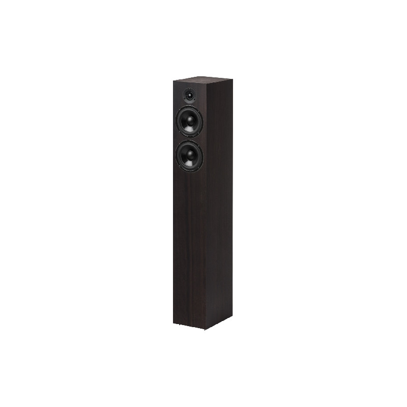 Pro-Ject Speaker Box 10 S2